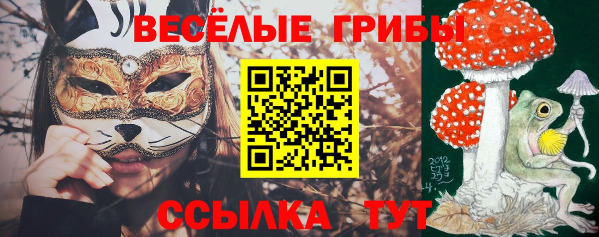 Гагарин  Галлюциногенные грибы GOLDEN TEACHER  Вход с VPN 